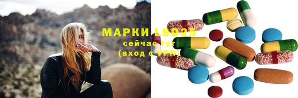 ГАЛЛЮЦИНОГЕННЫЕ ГРИБЫ Алексеевка