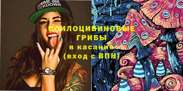 ГАЛЛЮЦИНОГЕННЫЕ ГРИБЫ Алексеевка