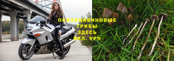 эйфоретик Алзамай