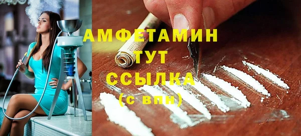 мет Алексин