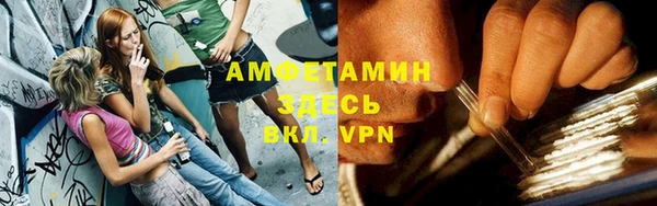 мет Алексин
