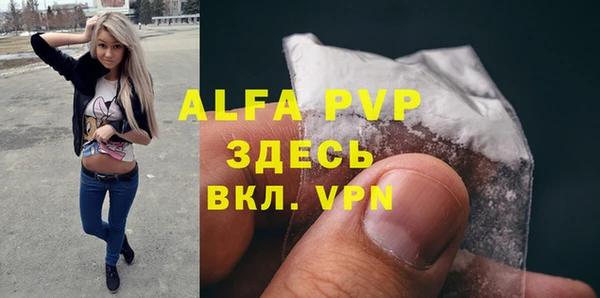 мет Алексин