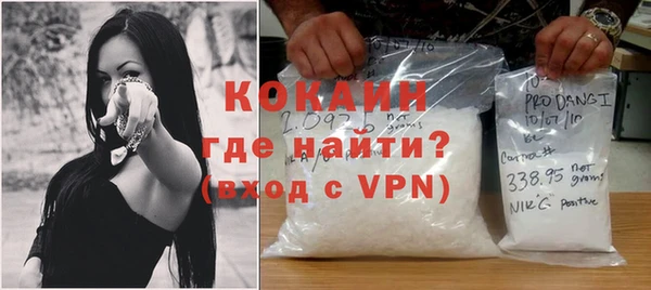 мет Алексин